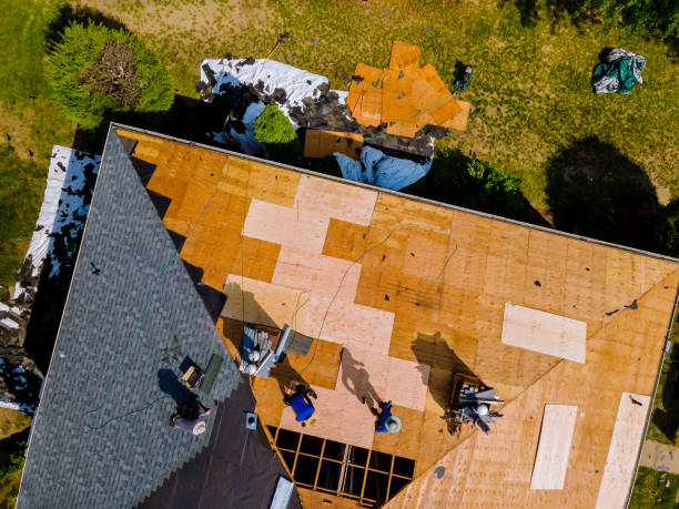 Best Tile Roofing Contractor  in Marysville, MI