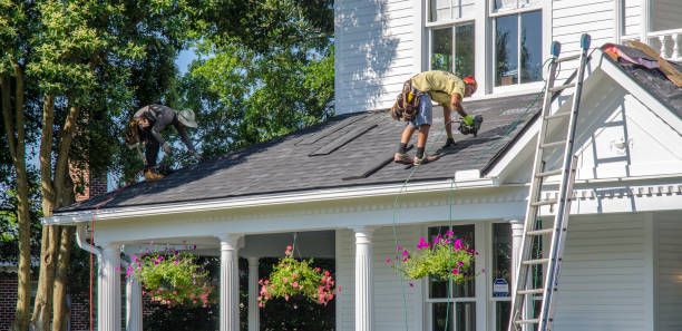 Best Roof Repair Services  in Marysville, MI